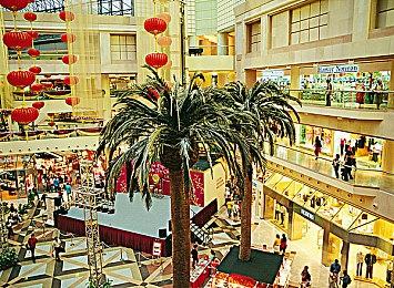 陶德：不会急忙推出《辐射5》 需要花时间做好